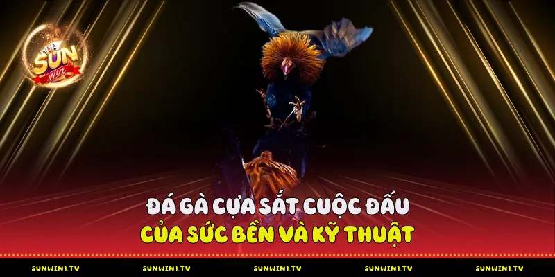 Đấu Trường Đá Gà Sunwin - Phân Tích Chuyên Sâu Đá Gà Cựa Sắt - Cuộc đấu của sức bền và kỹ thuật