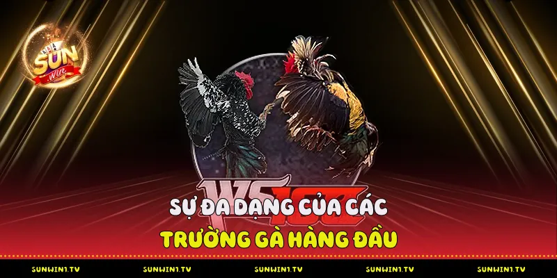 Đấu Trường Đá Gà Sunwin - Phân Tích Chuyên Sâu Sự Đa Dạng Đá gà hàng đầu