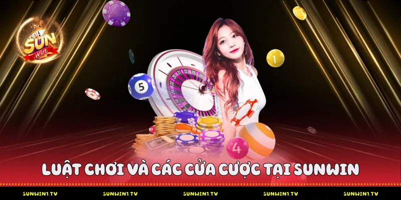 Xóc đĩa Sunwin - Trải nghiệm và chiến lược thắng lớn #1 Luật chơi và các cửa cược tại Sunwin